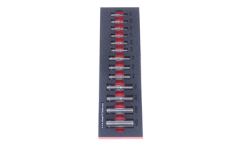 Foam Tool Organizer for 13 Icon E-Torx sockets